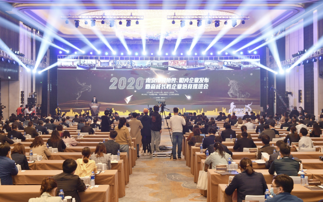 迪塔维数据晋升南京市瞪羚企业榜单